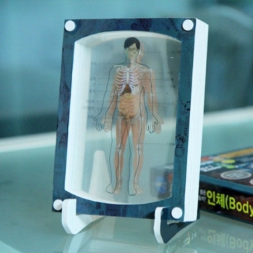 3D 액자만들기(인체-소화기,근육,뼈)