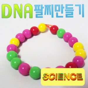 DNA팔찌만들기(10인용)