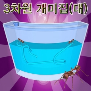 3차원 개미집(대)