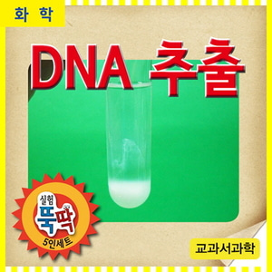 DNA추출(10인용)