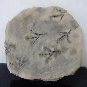 새발자국화석모형