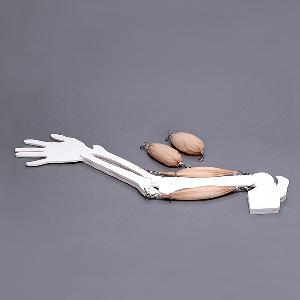 팔근육모형