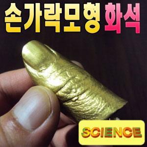 손가락모형화석(10인용)